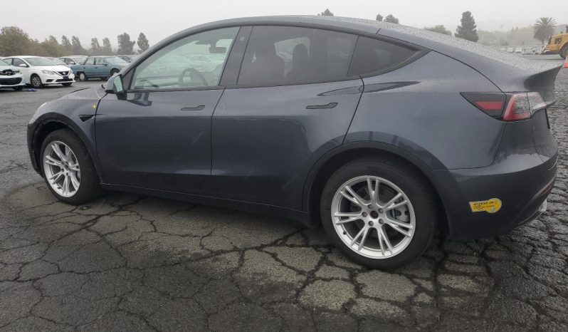 
								Tesla MODEL Y full									