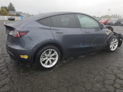 
										Tesla MODEL Y full									