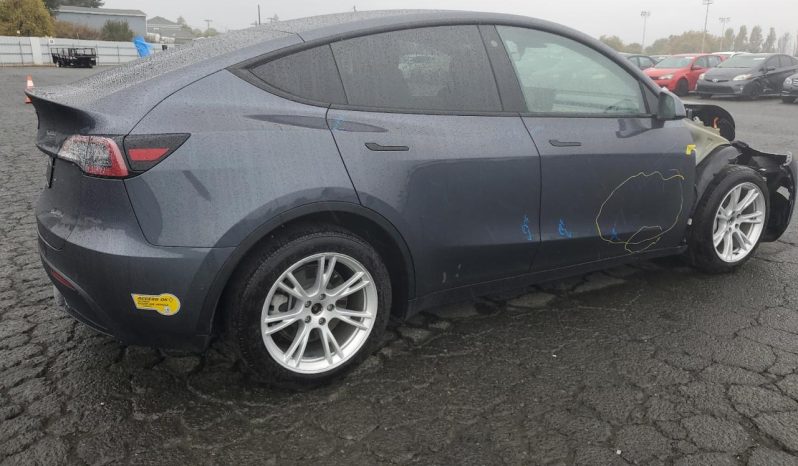 
								Tesla MODEL Y full									