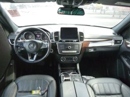 
										MERCEDES-BENZ GLS 450 full									