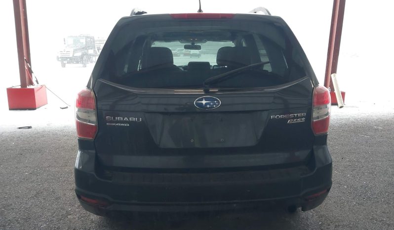 
								Subaru Forester full									