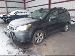 
										Subaru Forester full									