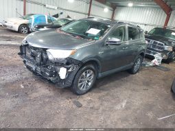 
										TOYOTA RAV4 full									