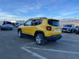 
										JEEP RENEGADE full									