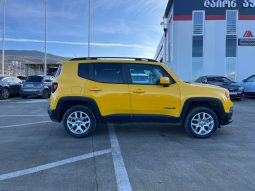 
										JEEP RENEGADE full									