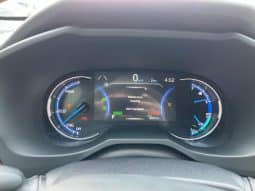 
										TOYOTA RAV4 full									