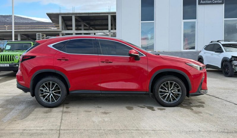 
								LEXUS NX 350H full									