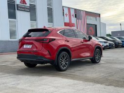 
										LEXUS NX 350H full									