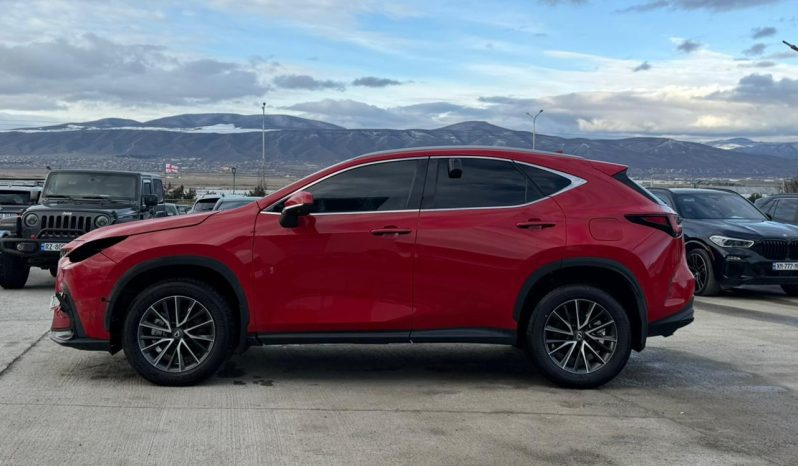 
								LEXUS NX 350H full									