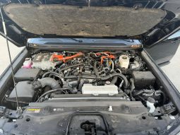 
										Toyota Land Cruiser full									