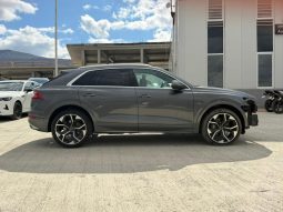 
										AUDI Q8 full									