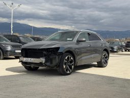 
										AUDI Q8 full									