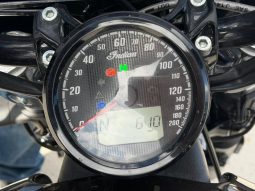 
										2023 Indian Scout Rogue Sixty full									