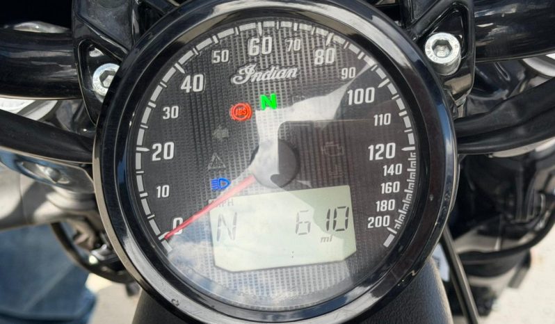 
								2023 Indian Scout Rogue Sixty full									