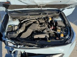 
										2022 Subaru Crosstrek full									