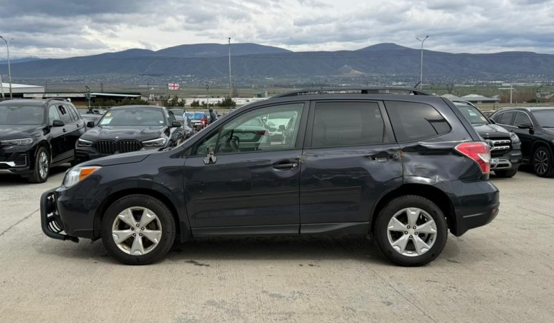 
								Subaru Forester full									
