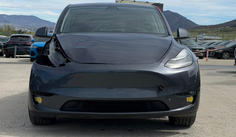 
								Tesla MODEL Y full									