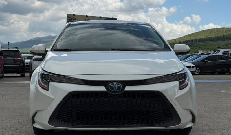 
								TOYOTA COROLLA full									