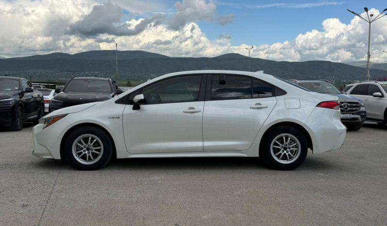 
								TOYOTA COROLLA full									