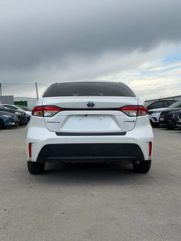 
										TOYOTA COROLLA full									