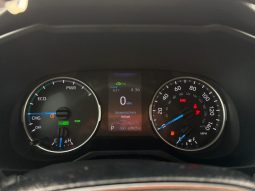 
										TOYOTA RAV4 full									