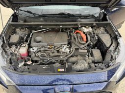 
										TOYOTA RAV4 full									