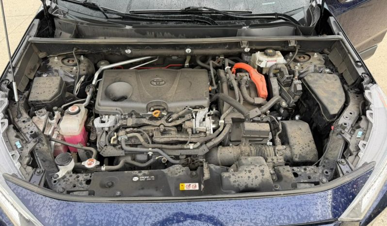 
								TOYOTA RAV4 full									