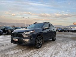 
										TOYOTA RAV4 full									