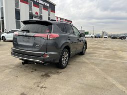
										TOYOTA RAV4 full									