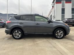 
										TOYOTA RAV4 full									