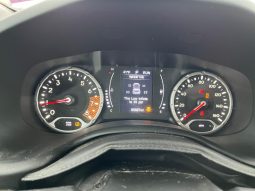 
										JEEP RENEGADE full									