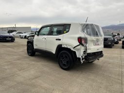 
										JEEP RENEGADE full									