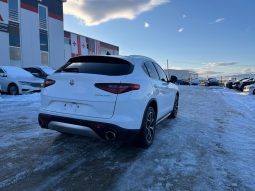
										ALFA ROMEO STELVIO full									