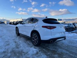 
										ALFA ROMEO STELVIO full									