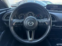 
										MAZDA CX-30 full									