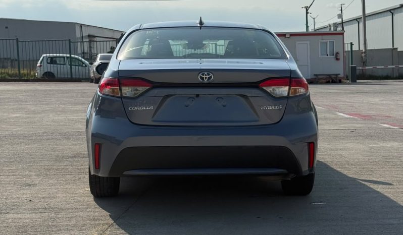 
								TOYOTA COROLLA full									