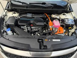 
										Kia Sportage full									