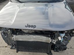 
										Jeep Renegade full									
