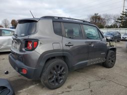 
										Jeep Renegade full									
