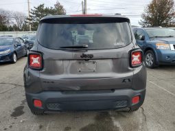 
										Jeep Renegade full									