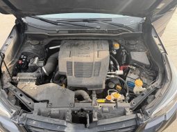 
										Subaru Forester full									