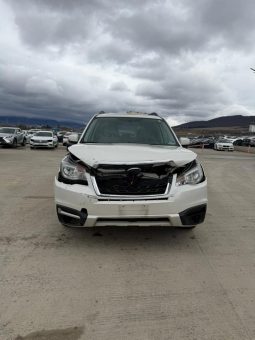 
										Subaru Forester full									