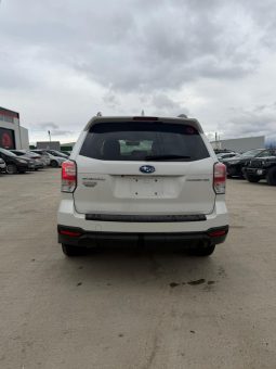 
										Subaru Forester full									