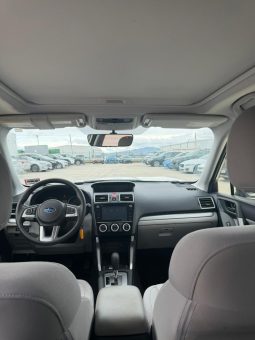 
										Subaru Forester full									