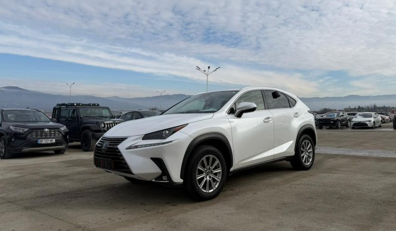 
								LEXUS NX300 full									