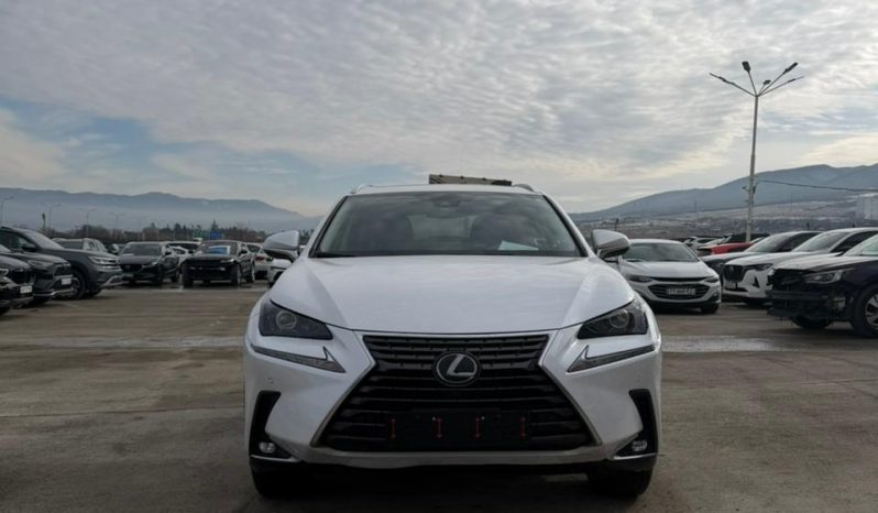
								LEXUS NX300 full									