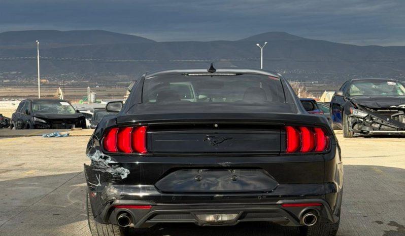 
								FORD MUSTANG full									