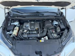 
										2018 Lexus NX 300 full									