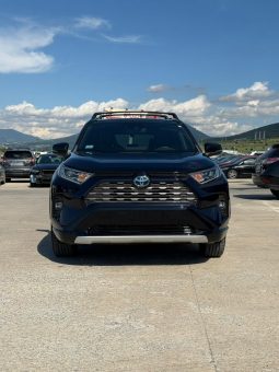 
										2019 Toyota RAV4 full									