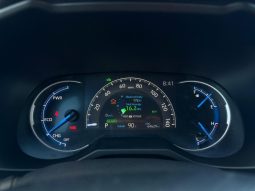 
										2019 Toyota RAV4 full									